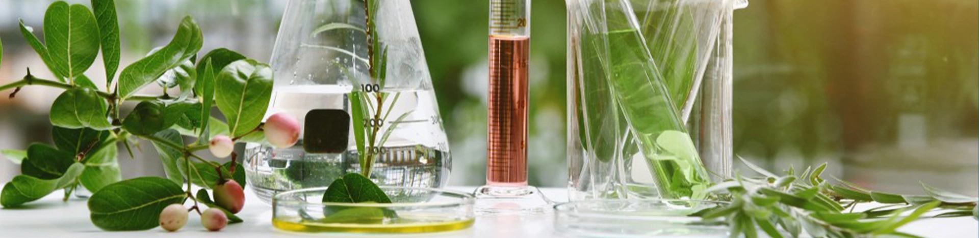 5.top dietary supplement manufacturer