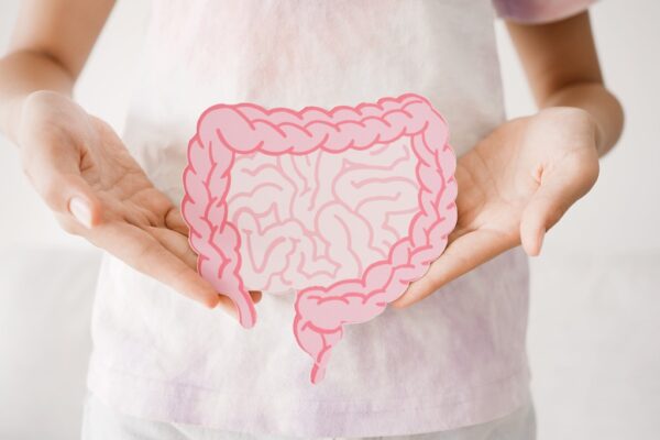 What Is The Best Gut Health Supplement