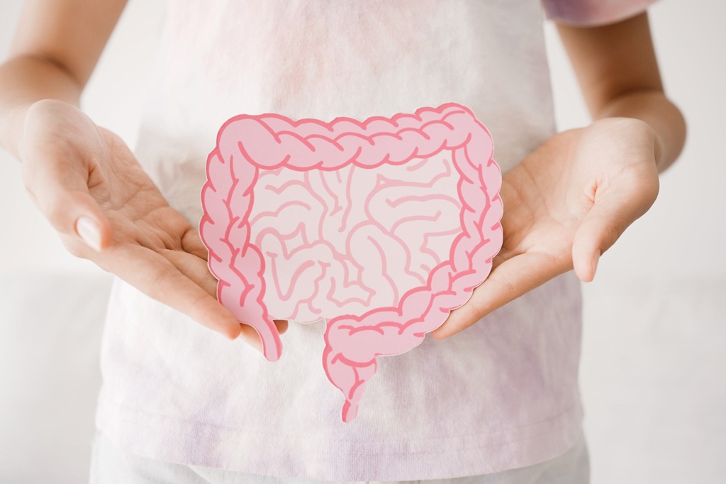 What Is The Best Gut Health Supplement