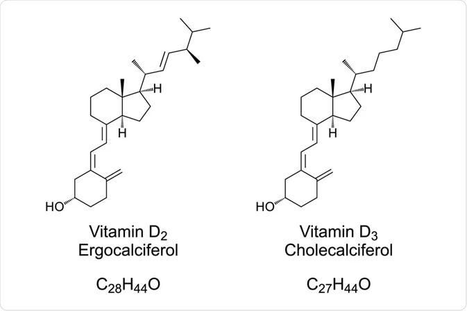 Are Vitamin D and Vitamin D3 the Same-2
