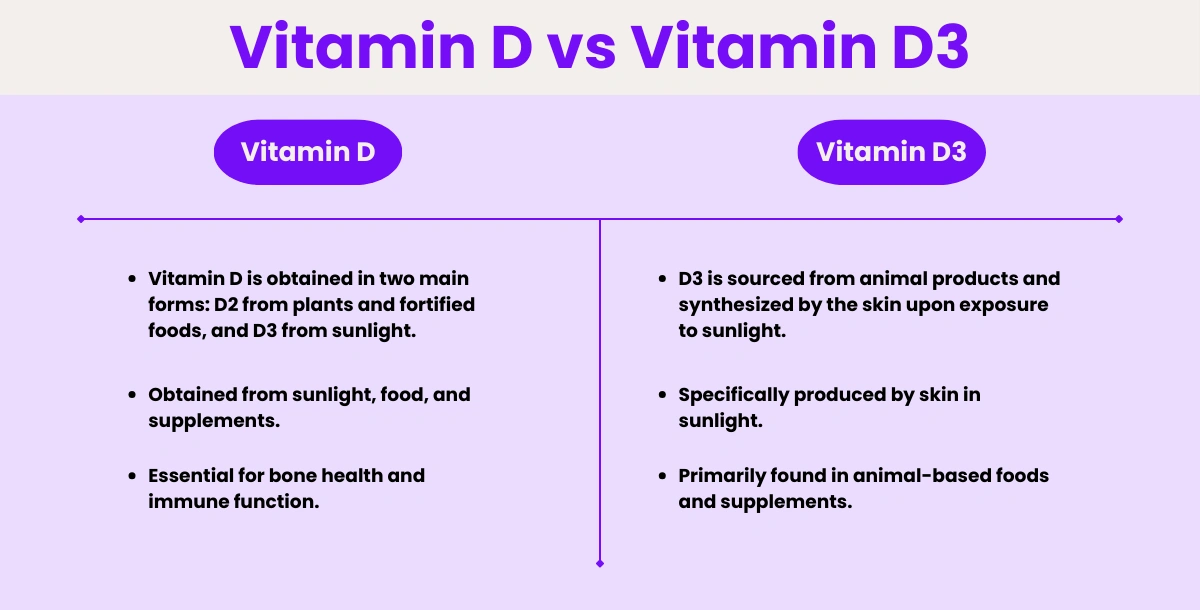 Are Vitamin D and Vitamin D3 the Same-3
